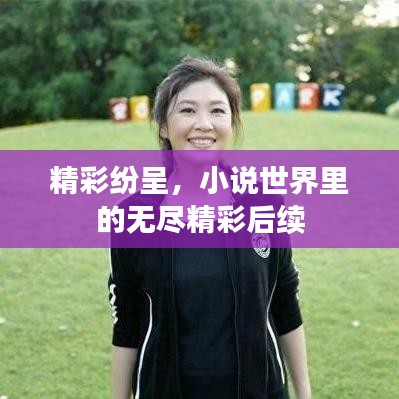 精彩紛呈，小說世界里的無盡精彩后續(xù)