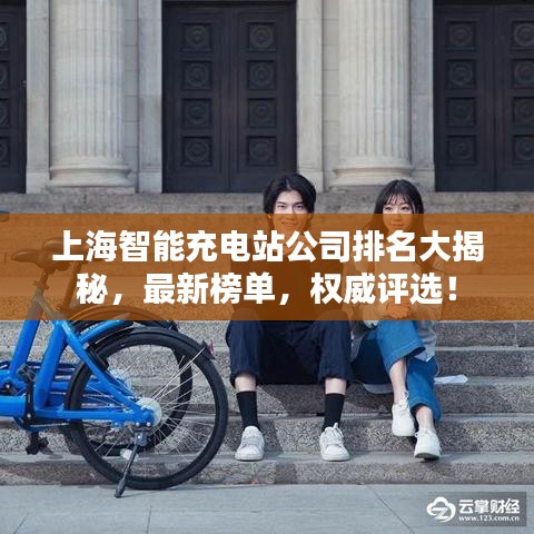 上海智能充電站公司排名大揭秘，最新榜單，權(quán)威評(píng)選！