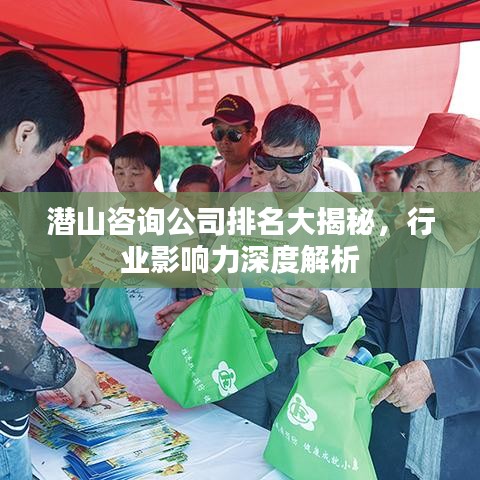 潛山咨詢公司排名大揭秘，行業(yè)影響力深度解析