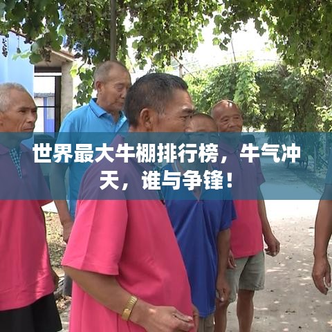 世界最大牛棚排行榜，牛氣沖天，誰(shuí)與爭(zhēng)鋒！