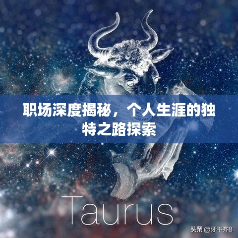 職場(chǎng)深度揭秘，個(gè)人生涯的獨(dú)特之路探索