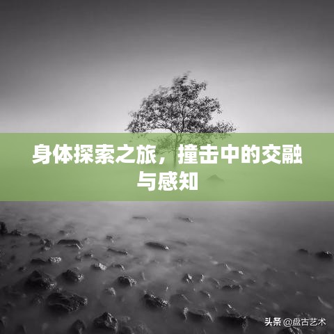 身體探索之旅，撞擊中的交融與感知