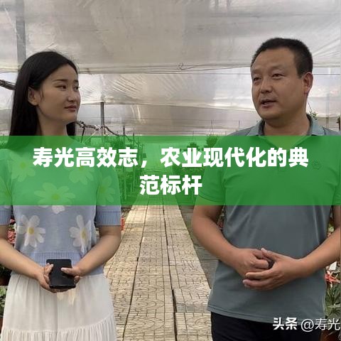 壽光高效志，農(nóng)業(yè)現(xiàn)代化的典范標(biāo)桿