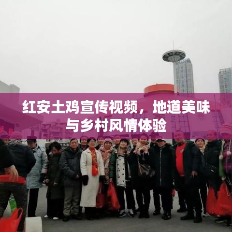 紅安土雞宣傳視頻，地道美味與鄉(xiāng)村風(fēng)情體驗(yàn)