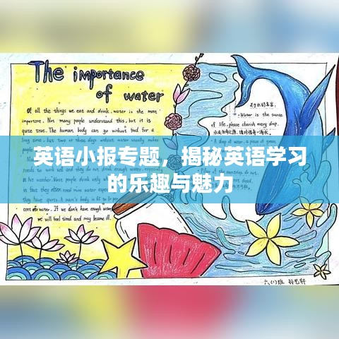 英語小報專題，揭秘英語學(xué)習(xí)的樂趣與魅力