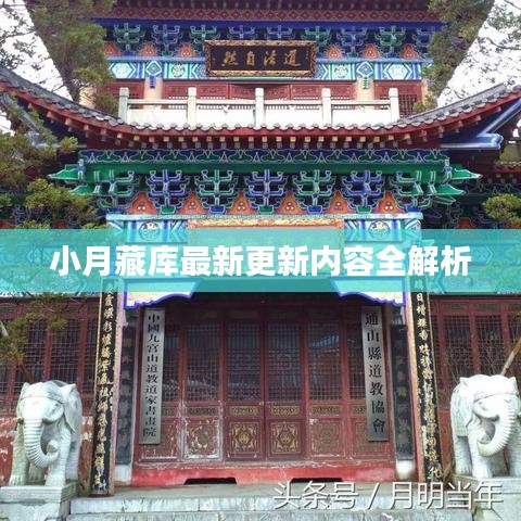 小月藏庫最新更新內(nèi)容全解析