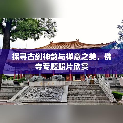 探尋古剎神韻與禪意之美，佛寺專題照片欣賞