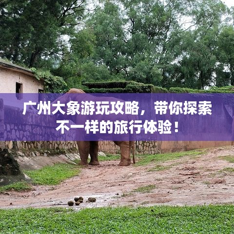 廣州大象游玩攻略，帶你探索不一樣的旅行體驗！