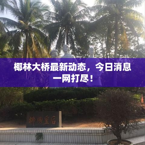 椰林大橋最新動(dòng)態(tài)，今日消息一網(wǎng)打盡！