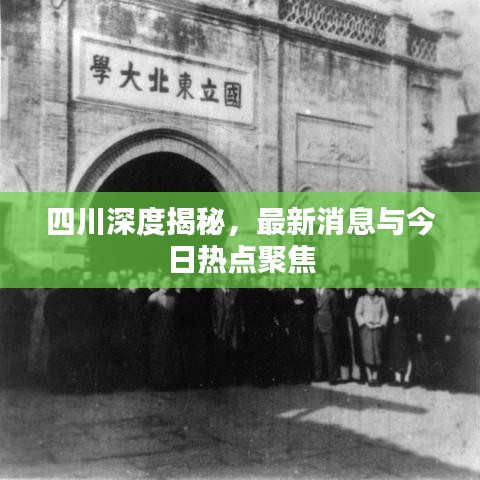 四川深度揭秘，最新消息與今日熱點(diǎn)聚焦