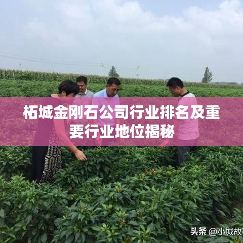 柘城金剛石公司行業(yè)排名及重要行業(yè)地位揭秘
