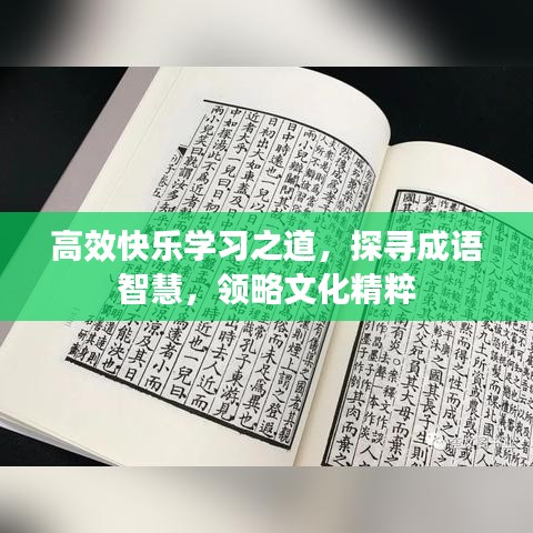高效快樂學(xué)習(xí)之道，探尋成語智慧，領(lǐng)略文化精粹