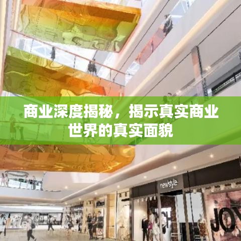 商業(yè)深度揭秘，揭示真實商業(yè)世界的真實面貌