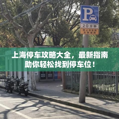 上海停車攻略大全，最新指南助你輕松找到停車位！