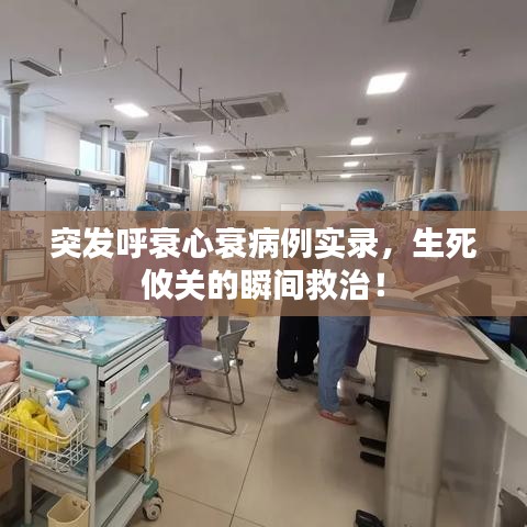 百鳥齊鳴 第3頁