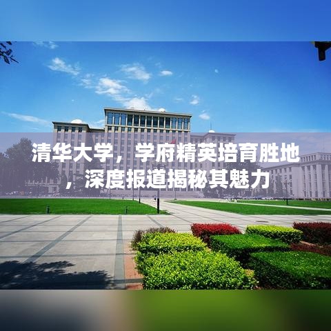 清華大學，學府精英培育勝地，深度報道揭秘其魅力