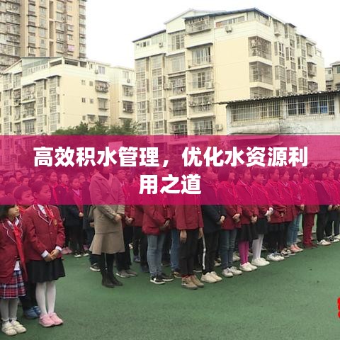 高效積水管理，優(yōu)化水資源利用之道