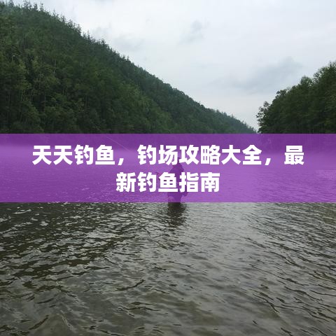 天天釣魚，釣場攻略大全，最新釣魚指南