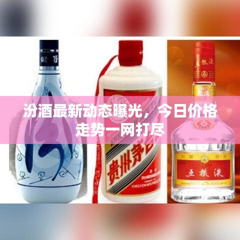 汾酒最新動態(tài)曝光，今日價格走勢一網打盡