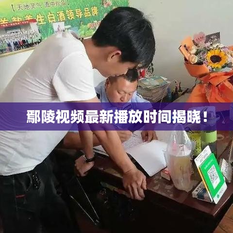 鄢陵視頻最新播放時間揭曉！
