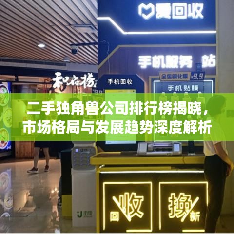 二手獨(dú)角獸公司排行榜揭曉，市場(chǎng)格局與發(fā)展趨勢(shì)深度解析