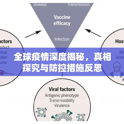 全球疫情深度揭秘，真相探究與防控措施反思