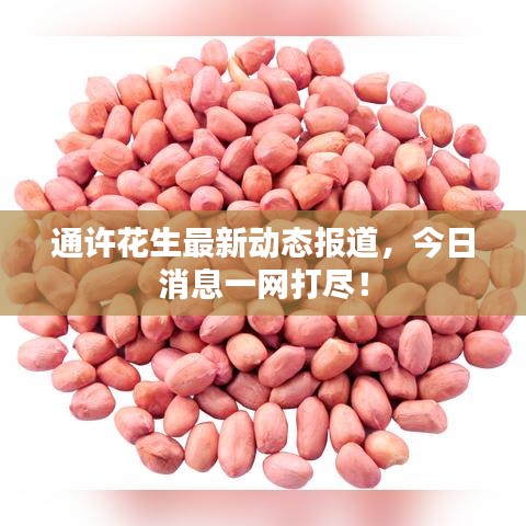通許花生最新動態(tài)報道，今日消息一網(wǎng)打盡！