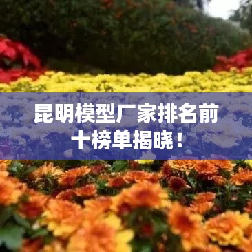 昆明模型廠家排名前十榜單揭曉！