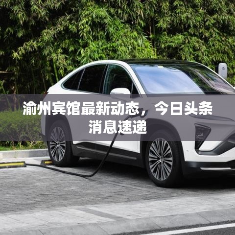 渝州賓館最新動態(tài)，今日頭條消息速遞