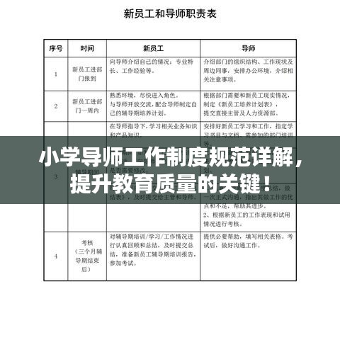 小學(xué)導(dǎo)師工作制度規(guī)范詳解，提升教育質(zhì)量的關(guān)鍵！
