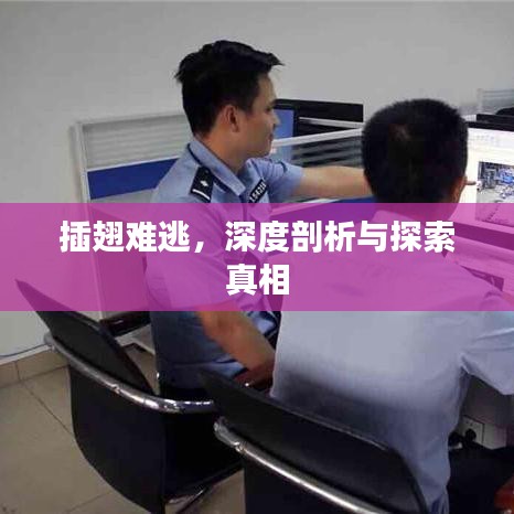 插翅難逃，深度剖析與探索真相