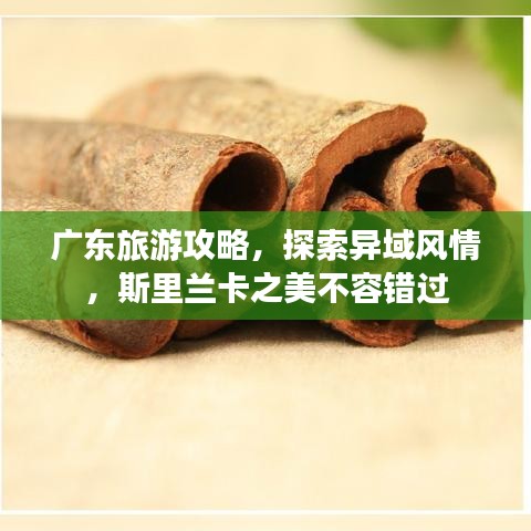 廣東旅游攻略，探索異域風情，斯里蘭卡之美不容錯過