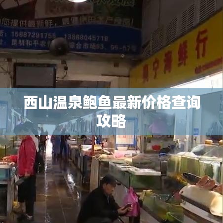 西山溫泉鮑魚最新價格查詢攻略