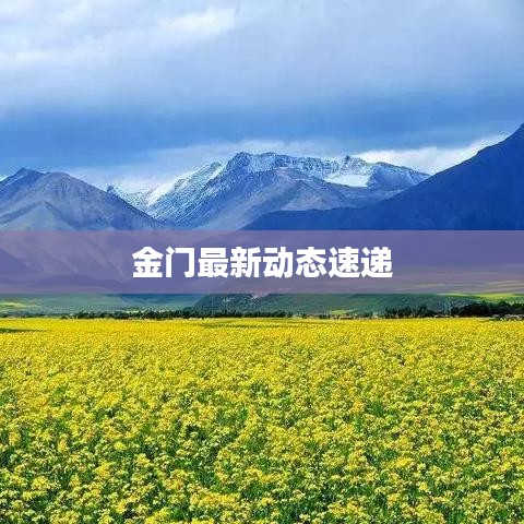 金門最新動態(tài)速遞