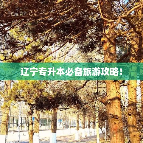 遼寧專(zhuān)升本必備旅游攻略！