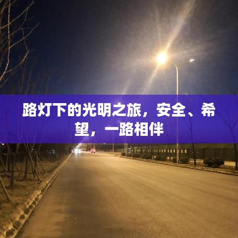 路燈下的光明之旅，安全、希望，一路相伴