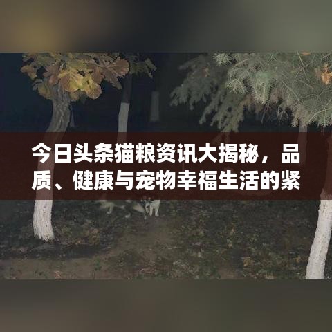 今日頭條貓糧資訊大揭秘，品質(zhì)、健康與寵物幸福生活的緊密關(guān)聯(lián)