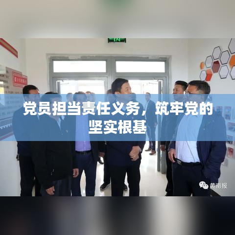 黨員擔(dān)當(dāng)責(zé)任義務(wù)，筑牢黨的堅(jiān)實(shí)根基