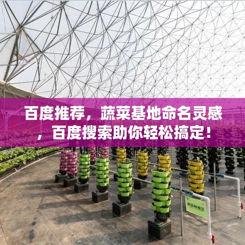 百度推薦，蔬菜基地命名靈感，百度搜索助你輕松搞定！