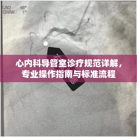 心內(nèi)科導(dǎo)管室診療規(guī)范詳解，專業(yè)操作指南與標準流程