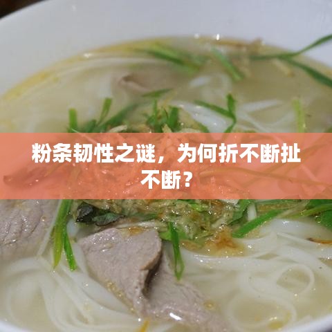 粉條韌性之謎，為何折不斷扯不斷？