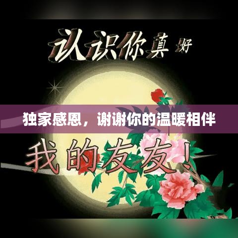 獨(dú)家感恩，謝謝你的溫暖相伴