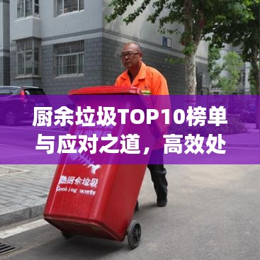 廚余垃圾TOP10榜單與應對之道，高效處理策略揭秘