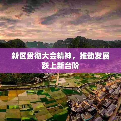 新區(qū)貫徹大會精神，推動發(fā)展躍上新臺階