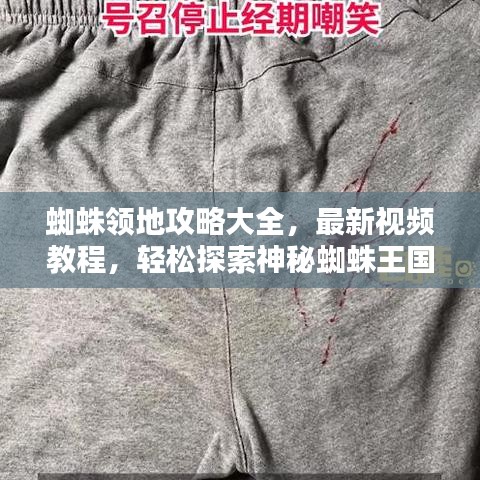 蜘蛛領(lǐng)地攻略大全，最新視頻教程，輕松探索神秘蜘蛛王國(guó)！