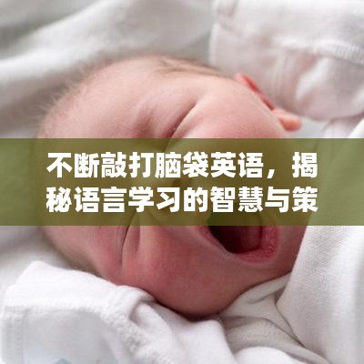 不斷敲打腦袋英語，揭秘語言學習的智慧與策略