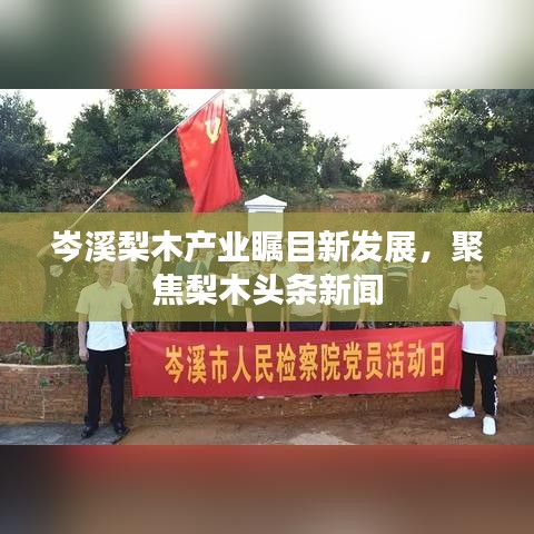 岑溪梨木產(chǎn)業(yè)矚目新發(fā)展，聚焦梨木頭條新聞