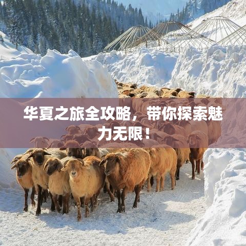 華夏之旅全攻略，帶你探索魅力無限！