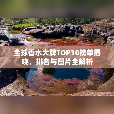 全球香水大牌TOP10榜單揭曉，排名與圖片全解析