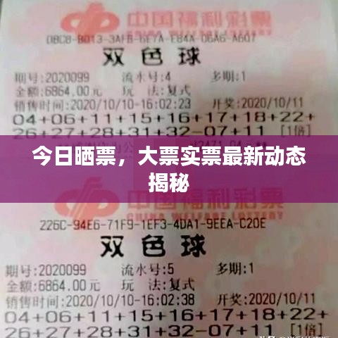 今日曬票，大票實(shí)票最新動態(tài)揭秘